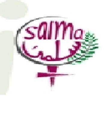 بمبادرة من شبكة سلمى، شبكة إقليمية لمناهضة العنف ضد النساء في المنطقة العربية، جرى أطلاق حملة للتضامن مع المدونة السورية الشابة  طل الملوحي 
